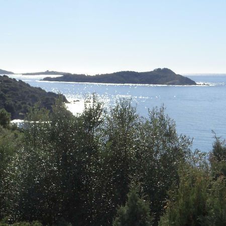 Appartement T2 50M² Vue Mer Presqu'Il De Giens. Rc Hyères Dış mekan fotoğraf